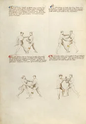 Fiore dei Liberi